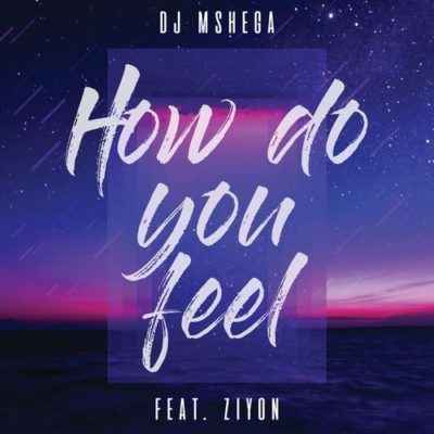 DJ Mshega How Do You Feel ft. Ziyon