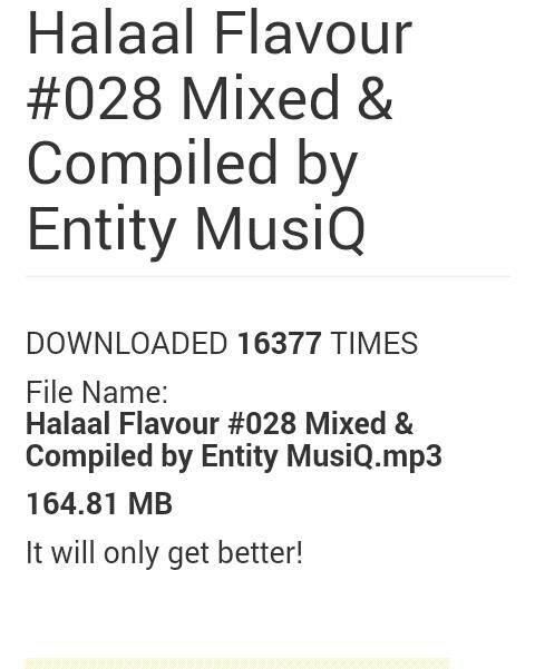 Halaal Flavour #028 Mixed & Compiled by Entity MusiQ