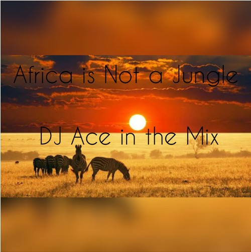 DJ Ace Africa Is Not A Jungle Mix