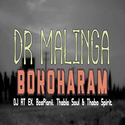 Dr Malinga Bokoharam ft DJ RT EX, BosPianii, Thabla Soul & Thabo Spirit
