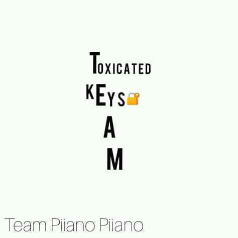 Toxicated Keys The Story Of My Life