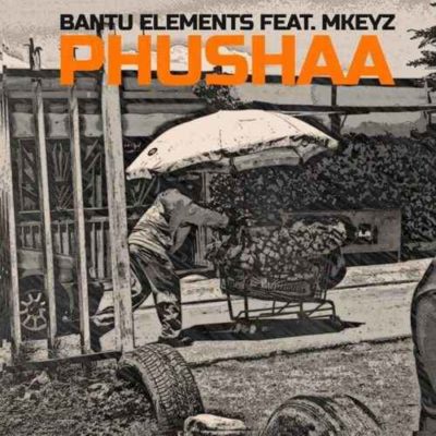 Bantu Elements Pushaa ft Mkeyz 