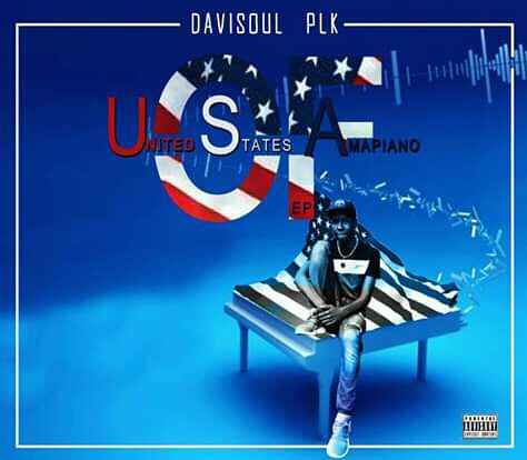 DaviSoul PLK United State Of Amapiano (Bass Player Mix)