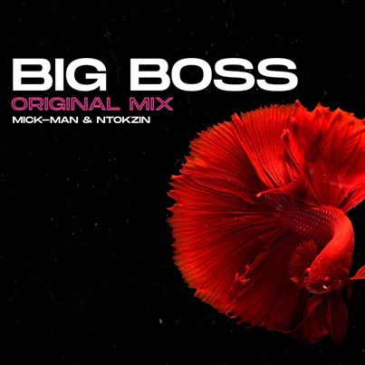 Mick-Man & Ntokzin Big Boss