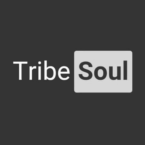TribeSoul Grootman Feel Sessions Vol 004