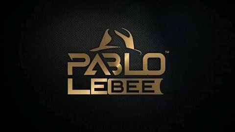 Pablo Le Bee Skroef 28 In Dub (Christian BassMachine)