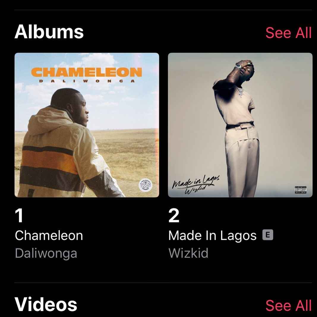 Daliwonga Overtakes Wizkid, Chameleon Album Sits At No. 1 On iTunes  