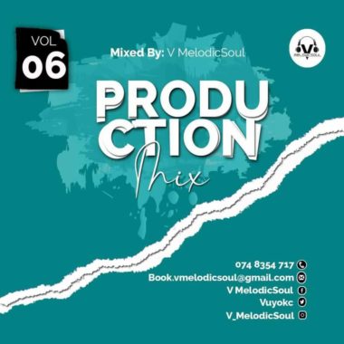 V Melodicsoul  100% Production Vol. 6