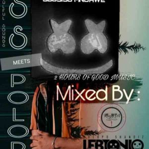 LebtoniQ POLOPO 14 Mix