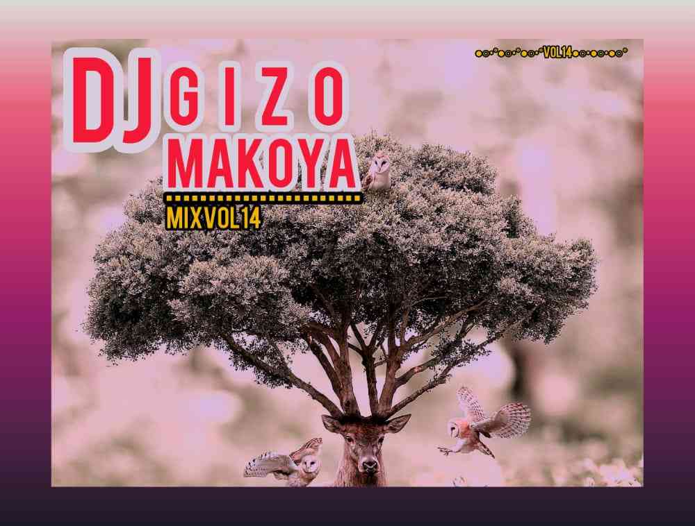 Dj Gizo Makoya Mix Vol. 14
