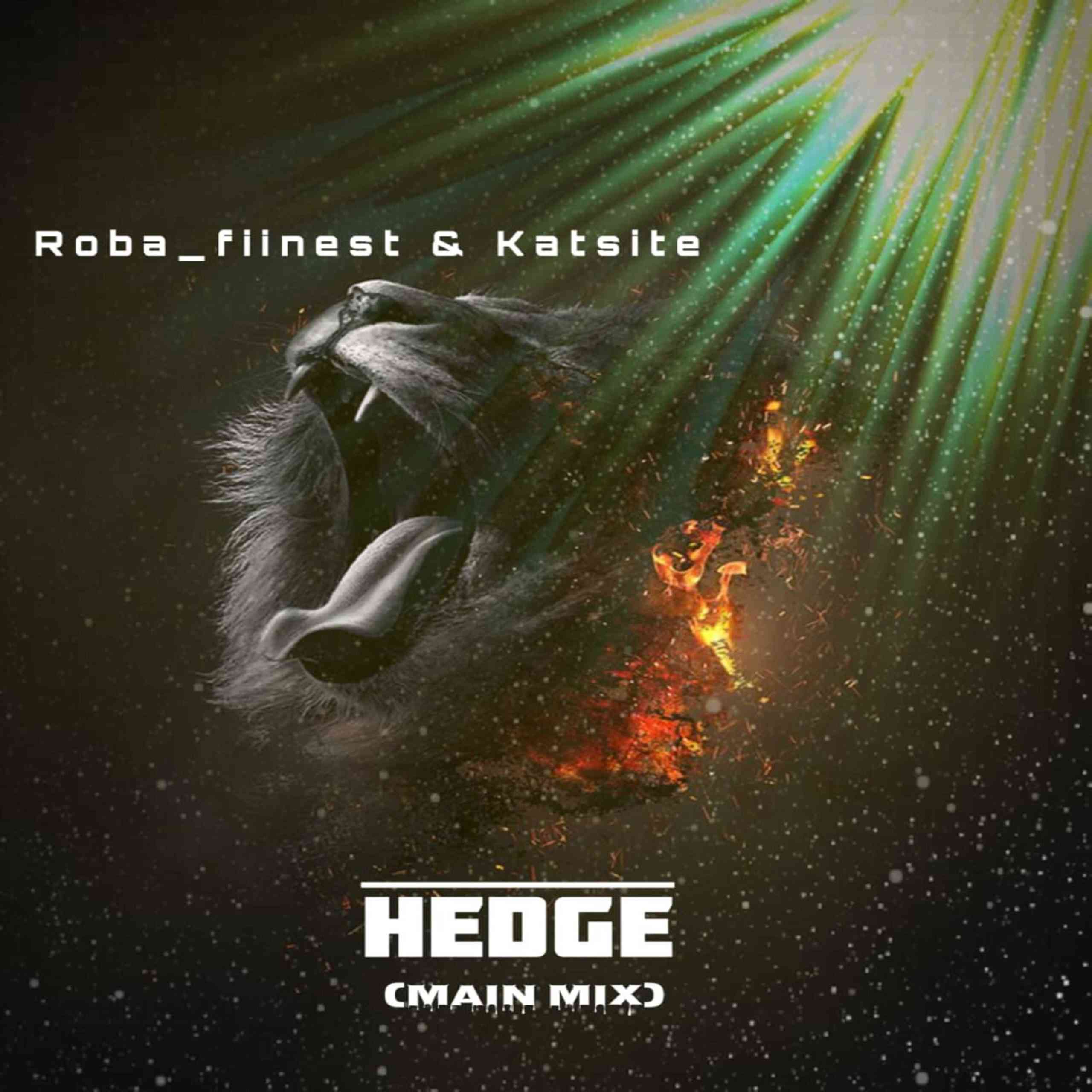 Roba Fiinest & Katsite Hedge (Main Mix)