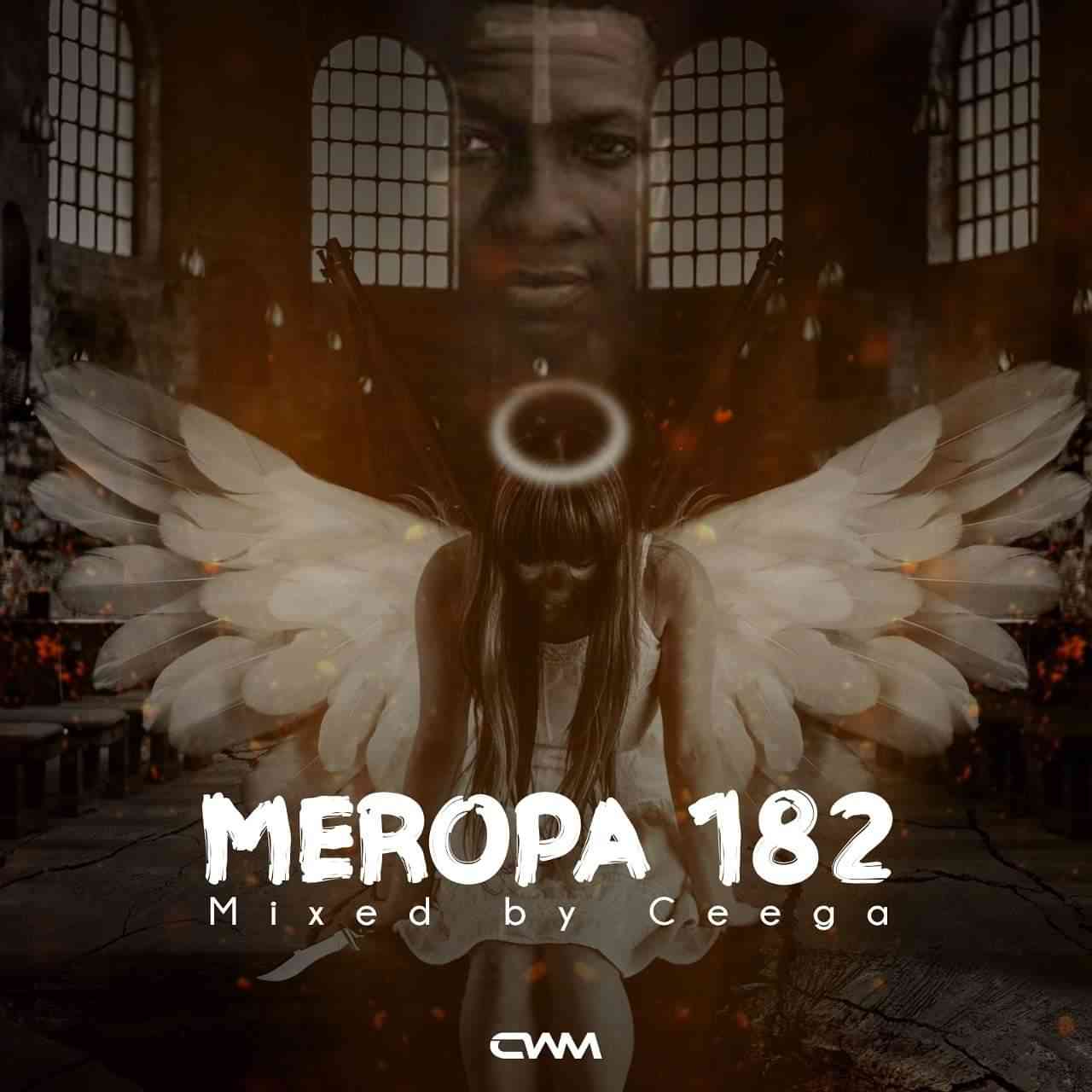 Ceega Meropa 182 Mix (I Just Wanna live & Play House Music)