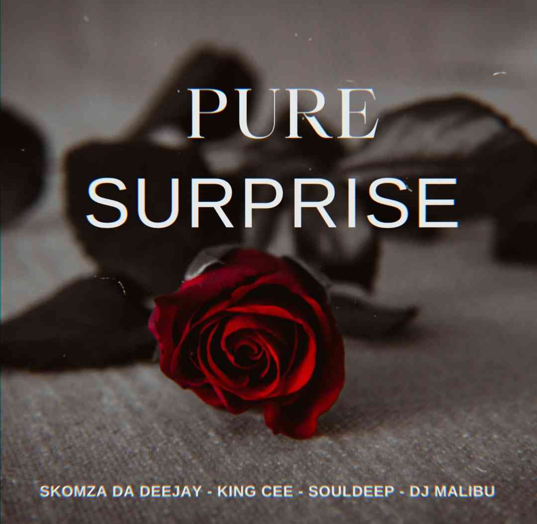  Skomza Da Deejay, King Cee, SoulDeep & DJ Malibu Pure Surprise (Remix)