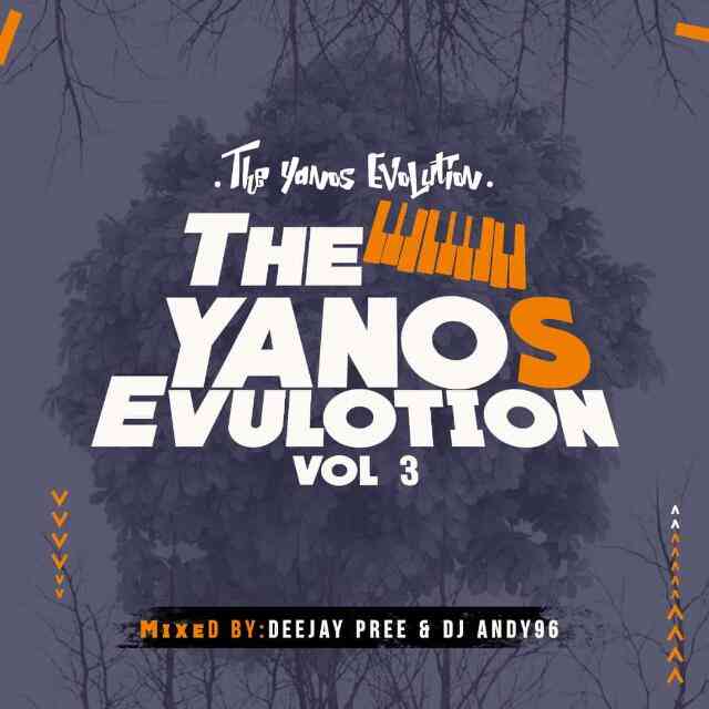 Deejay Pree & Dj Andy 96 The Yanos Evolution Vol 3 Mix