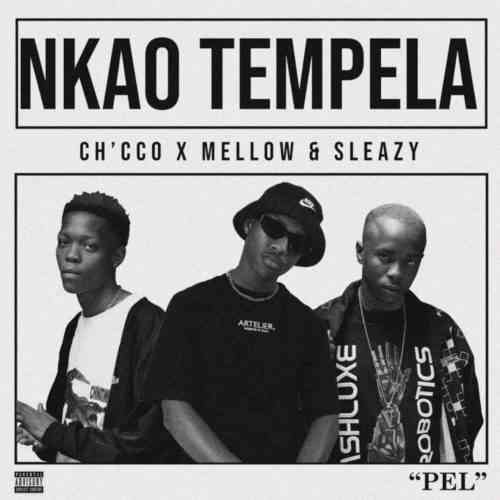 Chcco, FakeLove,  Mellow & Sleazy Nkao Tempela 