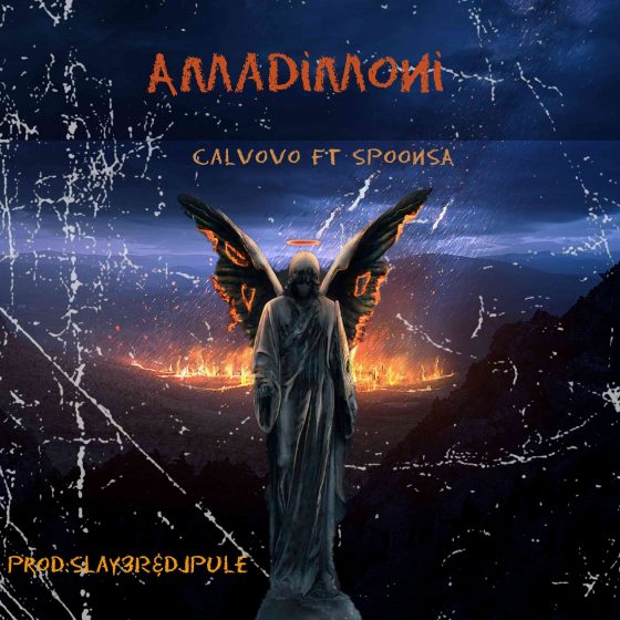 Calvovo & Spoon SA - Amadimoni