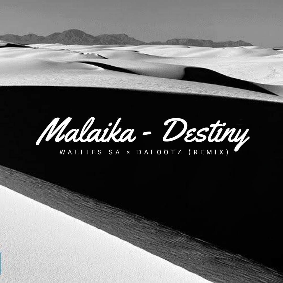 Dalootz & Wallies SA Destiny (Amapiano Remix) 