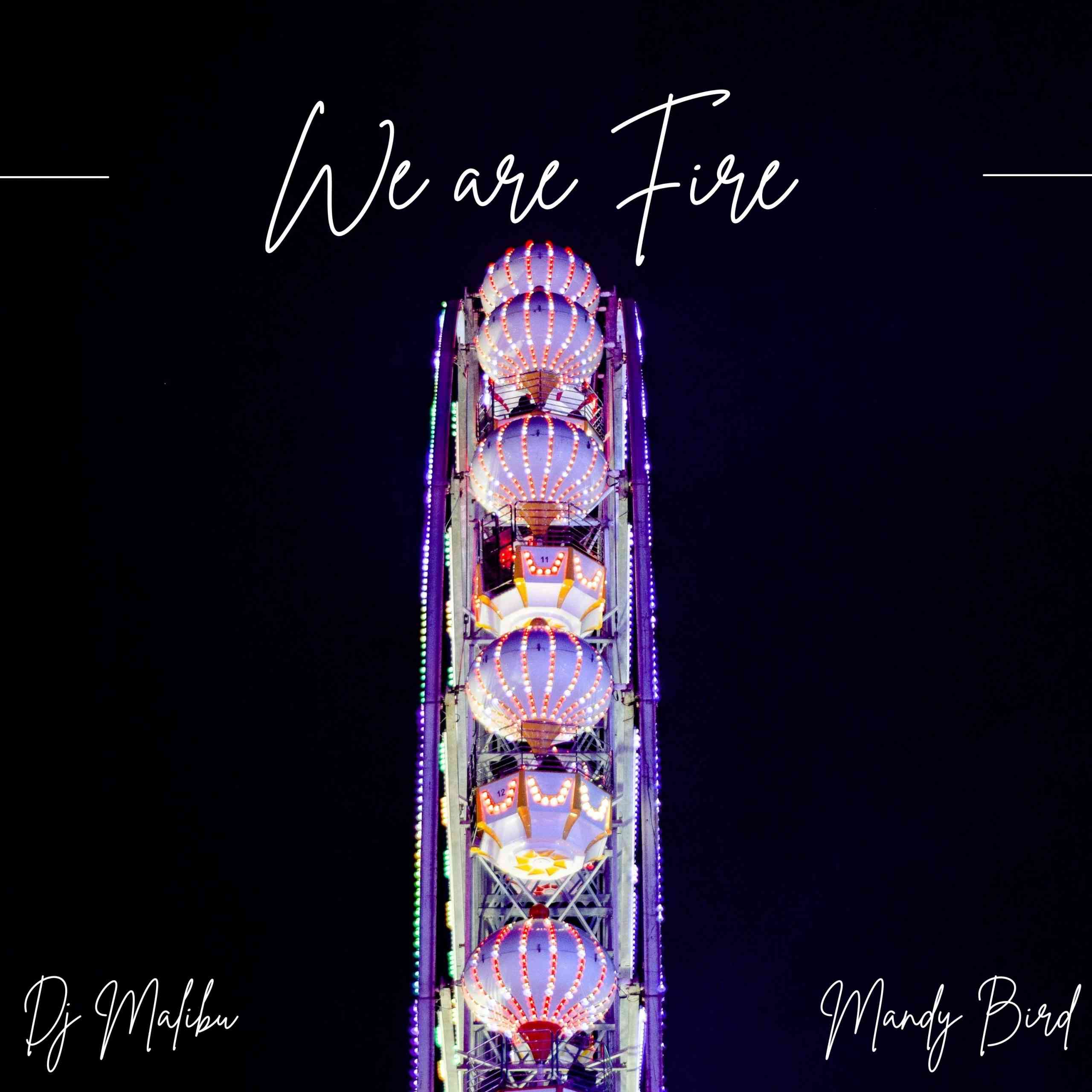 DJ Malibu & Mandy Bird We Are Fire (Vocal Mix)