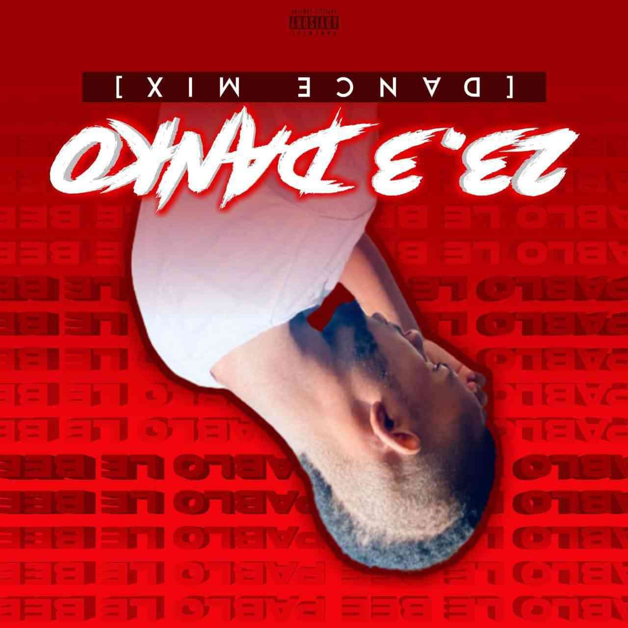 Pablo Lee Bee 23.3 Danko (Dance Mix)