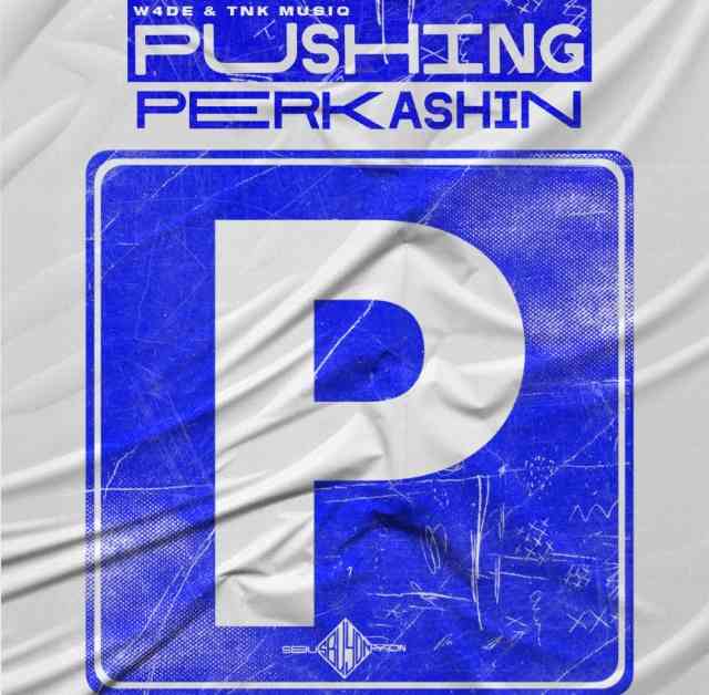 W4DE & TNK MusiQ - Pushing Perkashin