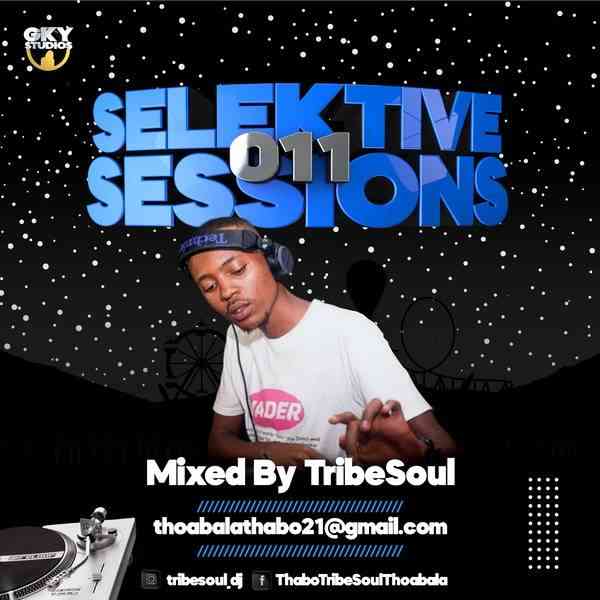 TribeSoul Selektive Sessions 011 Mix