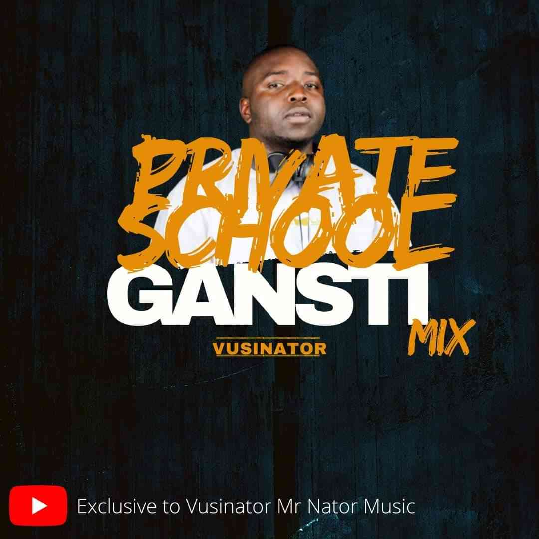 Vusinator - Private  School Gantsi Mix