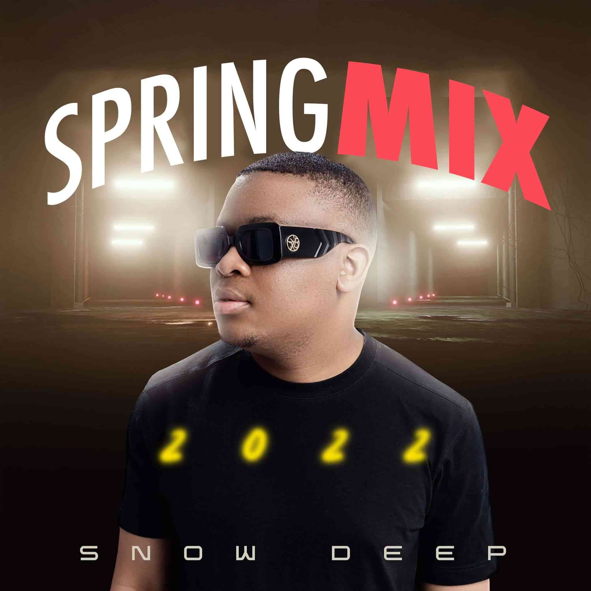 Snow Deep Spring Mix 2022 ZAtunes