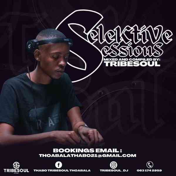 TribeSoul - Selektive Sessions 012 Mix