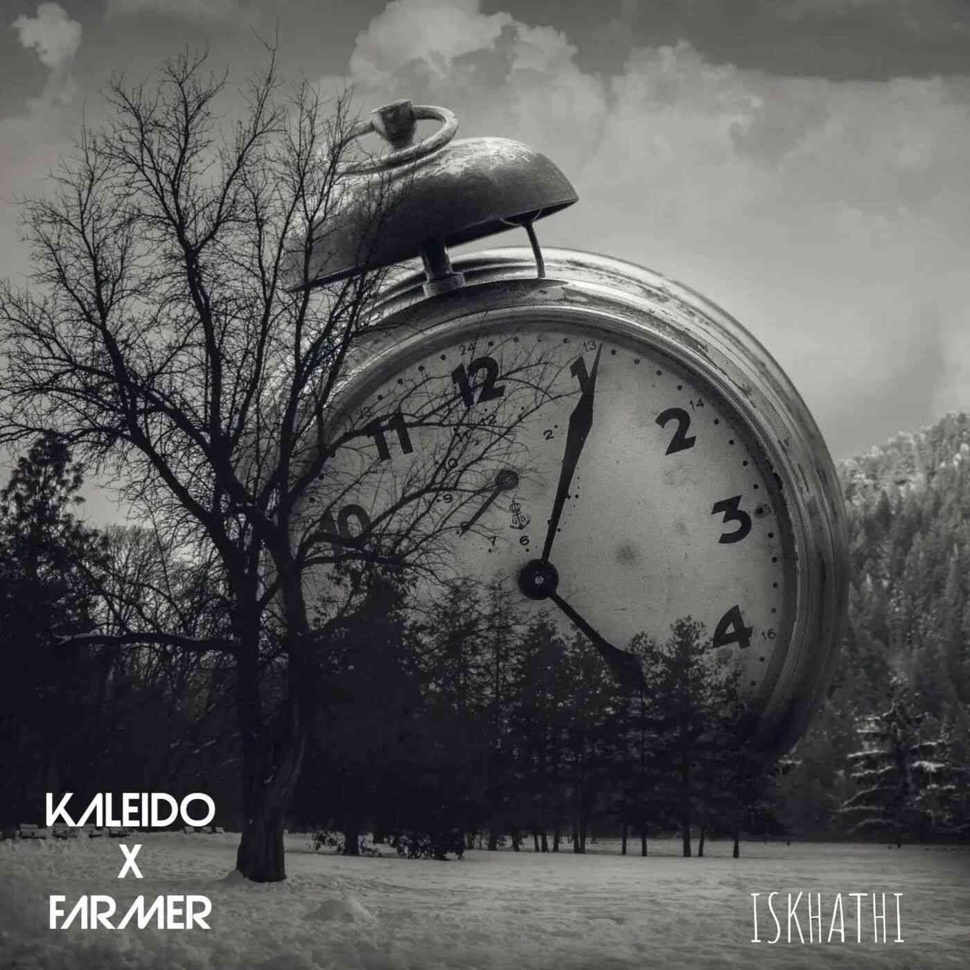 DJ Farmer & Kaleido - Mkhuzeni ft. Springle & T&T MuziQ