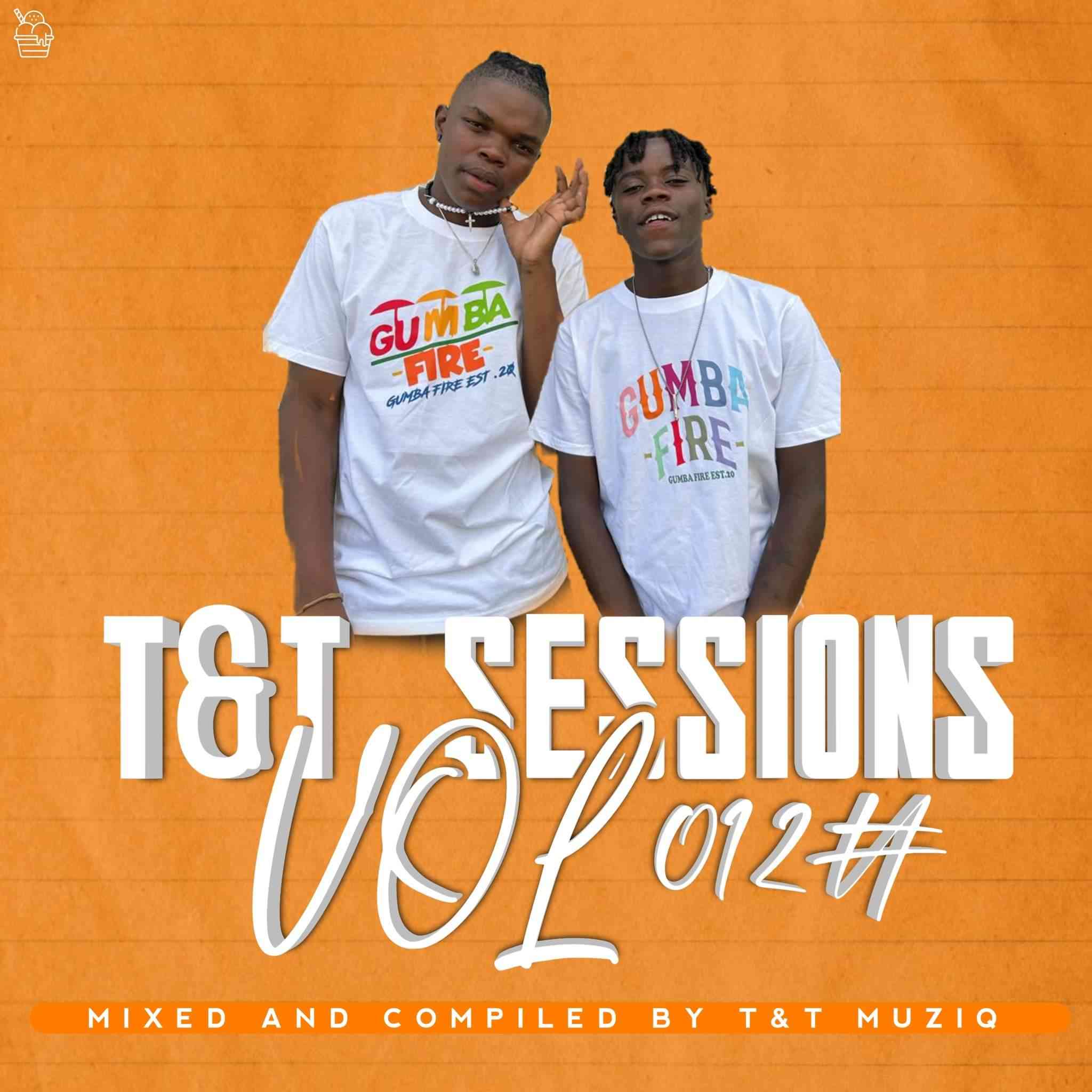 T&T MuziQ T&T Sessions Vol #012 (Road To Color Fest)