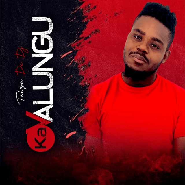 Ka Valungu by Tebza De DJ & DJ Nomza The King Back on Digital Streaming Platforms