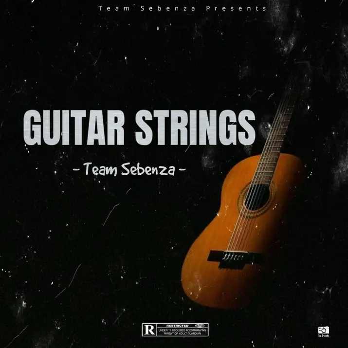 Team Sebenza Guitar Strings 