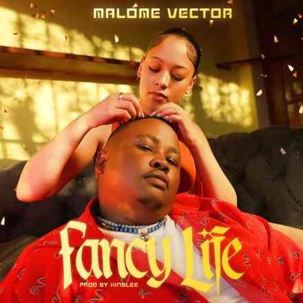 Malome Vector Drops Fancy Life