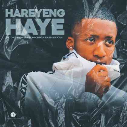 Gator Groover - Hareyeng Haye ft. Scotch Mzilikazi & Licious