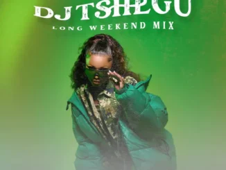 Dj Tshegu 2025 2024 Latest Songs Download Mixtape EP Video And 