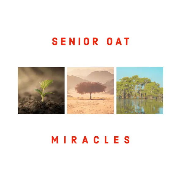 Senior Oat - Miracles