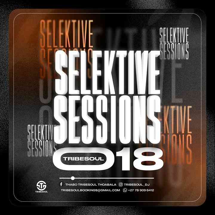 Tribesoul - Selektive Session vol. 018 (Sgidongo Mix)