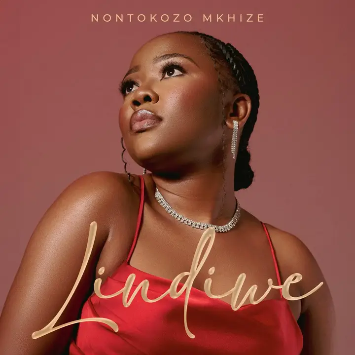 Lindiwe by Nontokozo Mkhize