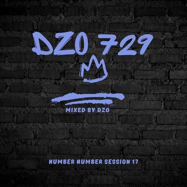 Dzo 729 - Number Number Session 17