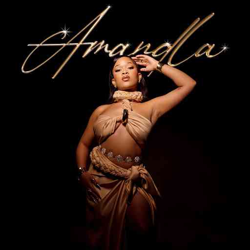 Zee_nhle & DJ Stokie - Amandla ft. Sobzeen, Faith Strings & Smavesh