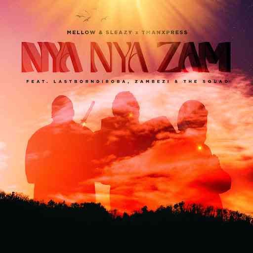 Mellow & Sleazy - Nya Nya Zam  Tman Xpress, Lastborn Diroba, Zambezi & The Squad