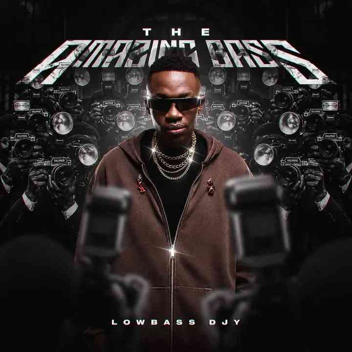 Lowbass Djy - The Amazing Bass